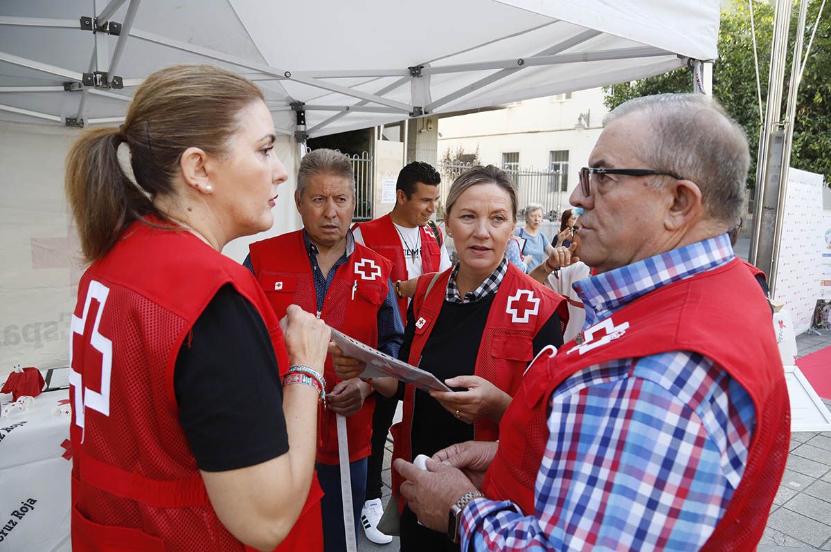 Cruz Roja Córdoba un Día de la Banderita muy ecológico