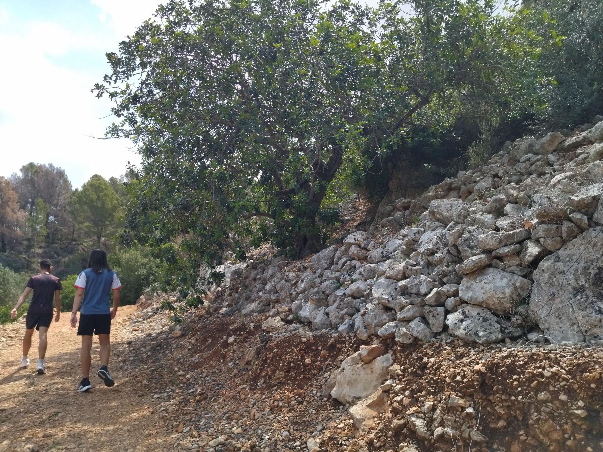 El Castell d’Ambra del siglo XIII, la gran atalaya de Pego