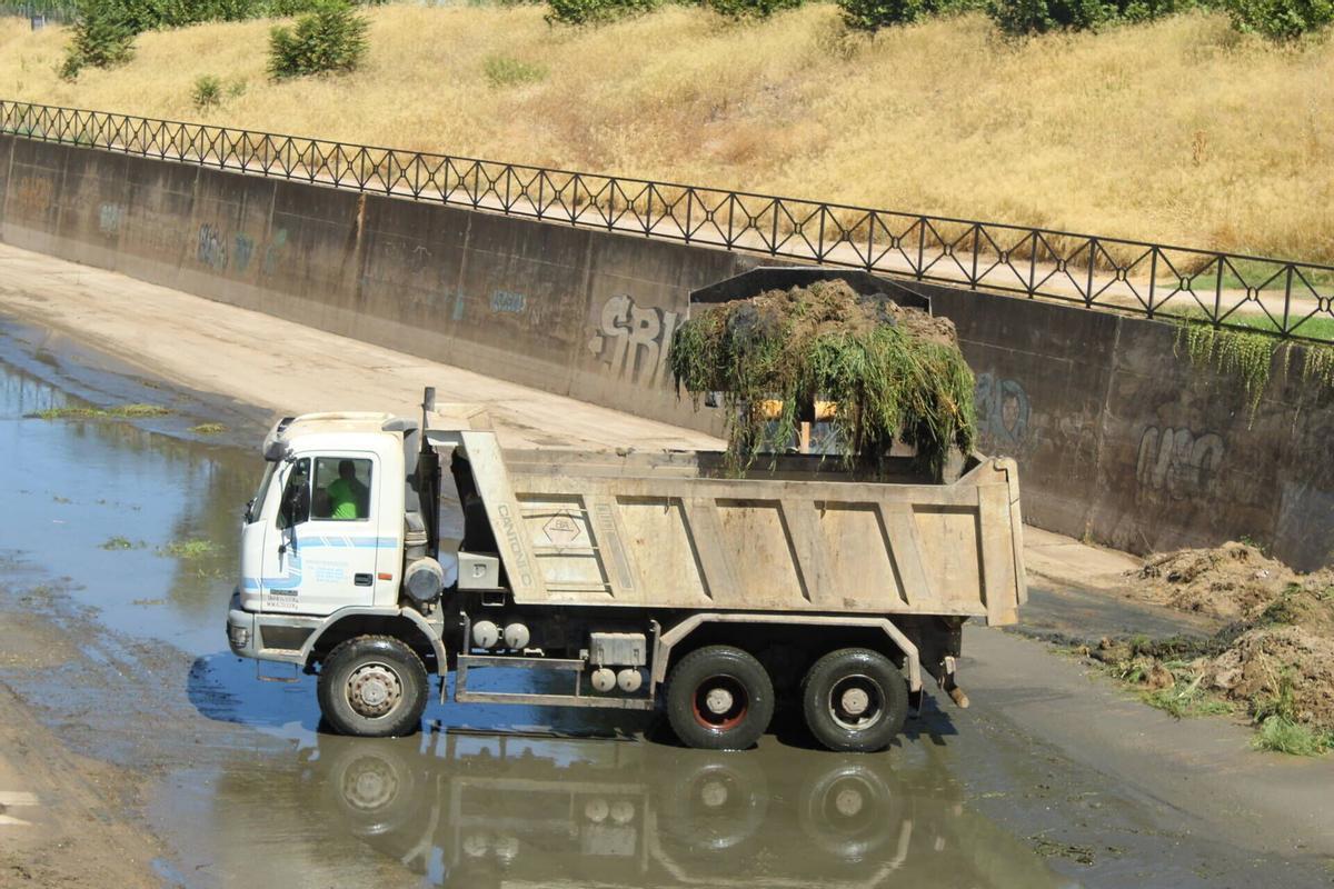 La excavadora elimina residuos vegetales del cauce del río Rivillas a su paso por Badajoz.