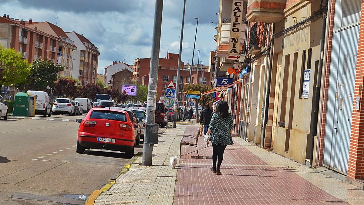 Una vecina de Benavente paseando un perro por la avenida El Ferial. | E. P.