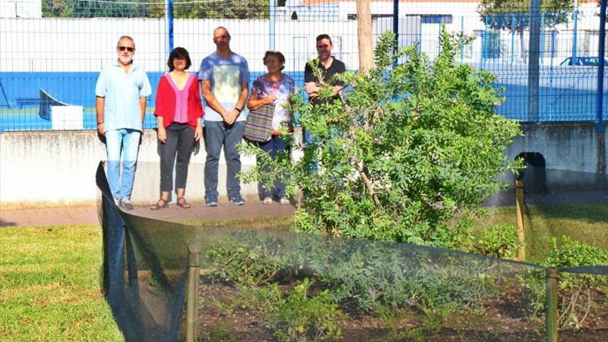 Experiencia piloto de gestión de jardines en La Fuensanta