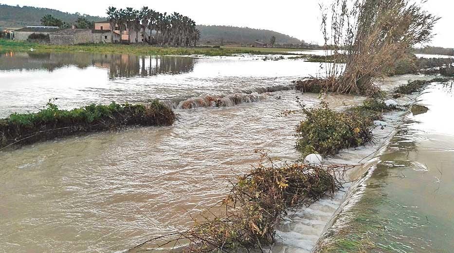 El temporal arrasa las cosechas