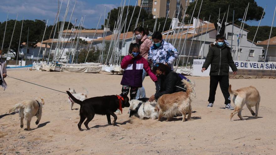 Uns 30 veïns de Palamós es manifesten amb els seus gossos a la platja per reclamar-ne un espai