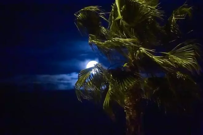 Luna de Nieve