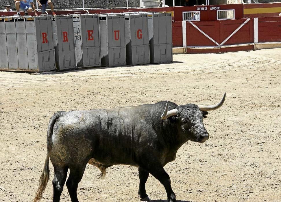 El alma de Fandiño entre el cielo y el ruedo