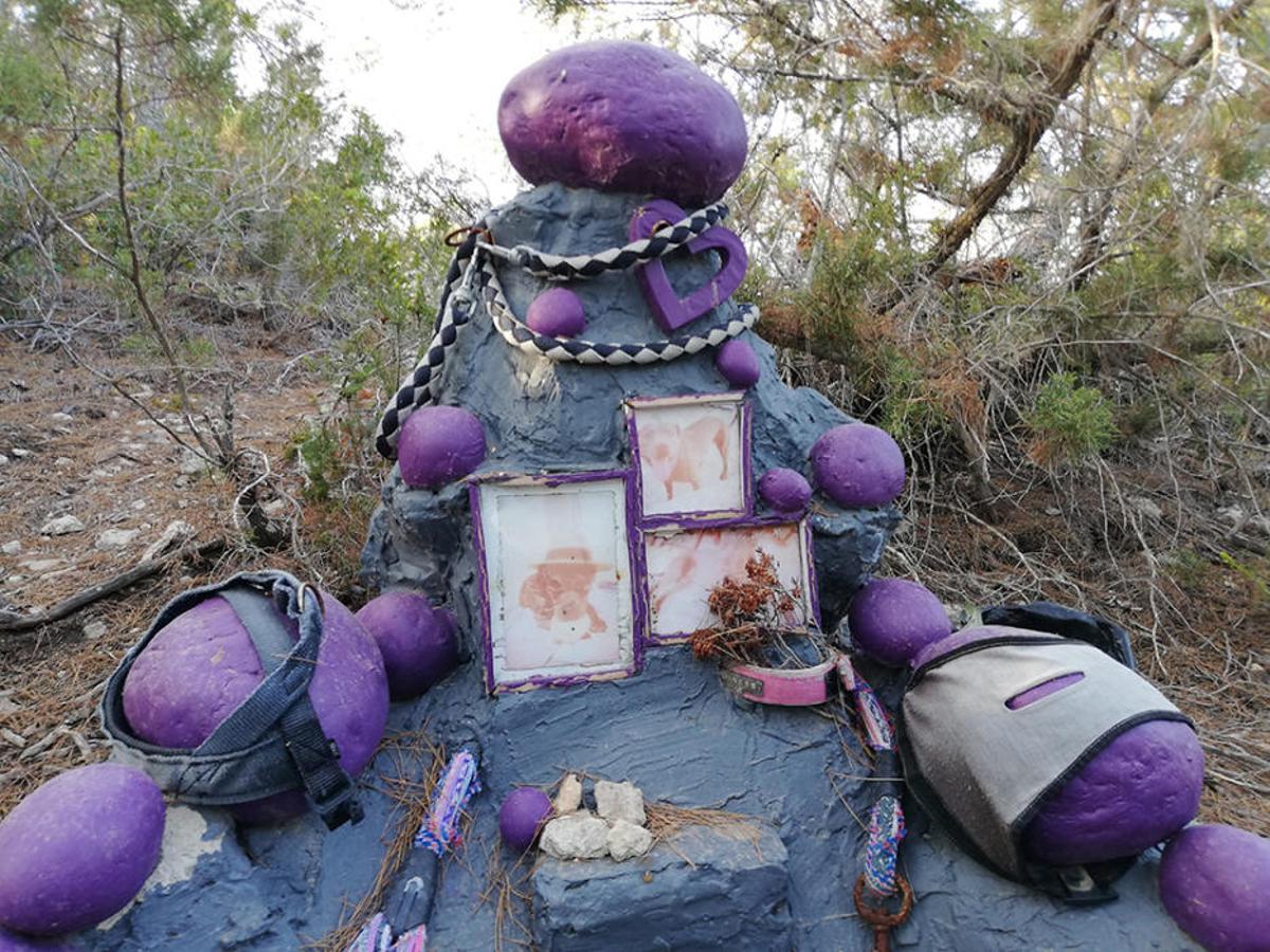 Algunas de las tumbas caninas que existen en sa Talaia de Sant Antoni.