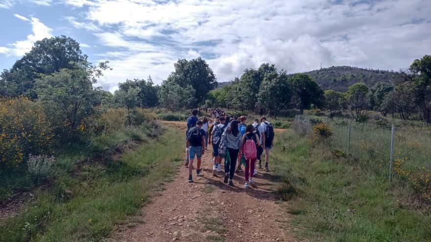 Proyecto ECO del colegio Medalla Milagrosa