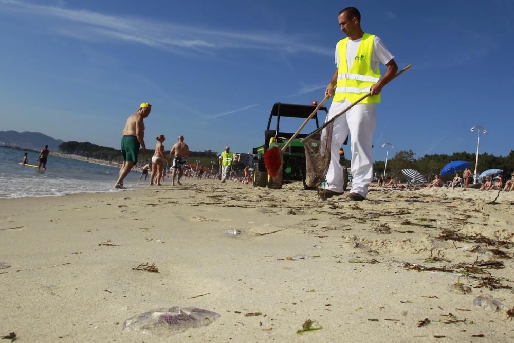 Plaga de medusas en la playa de Samil