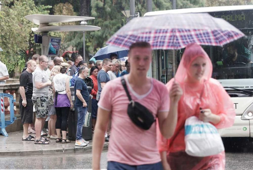 In der Balearenhauptstadt Palma ist am Dienstag (20.9.) der seit Monaten erste heftige Schauer herabgeregnet. Platschnasse Touristen und kleinere Unfälle waren die Folge.