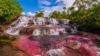 El arcoíris ya no está en el cielo: el río de Cinco Colores en Colombia