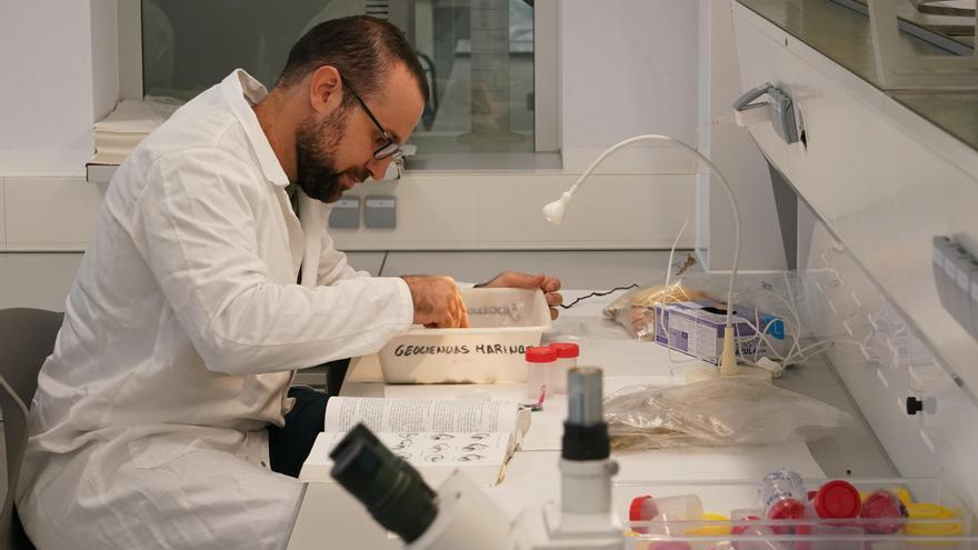 Cuando la inteligencia artificial se pone la bata