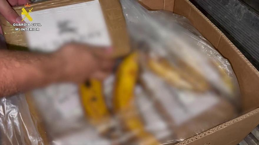 Cae la red que intentó introducir 1,3 toneladas de cocaína ocultas en bananas por el puerto de Vigo