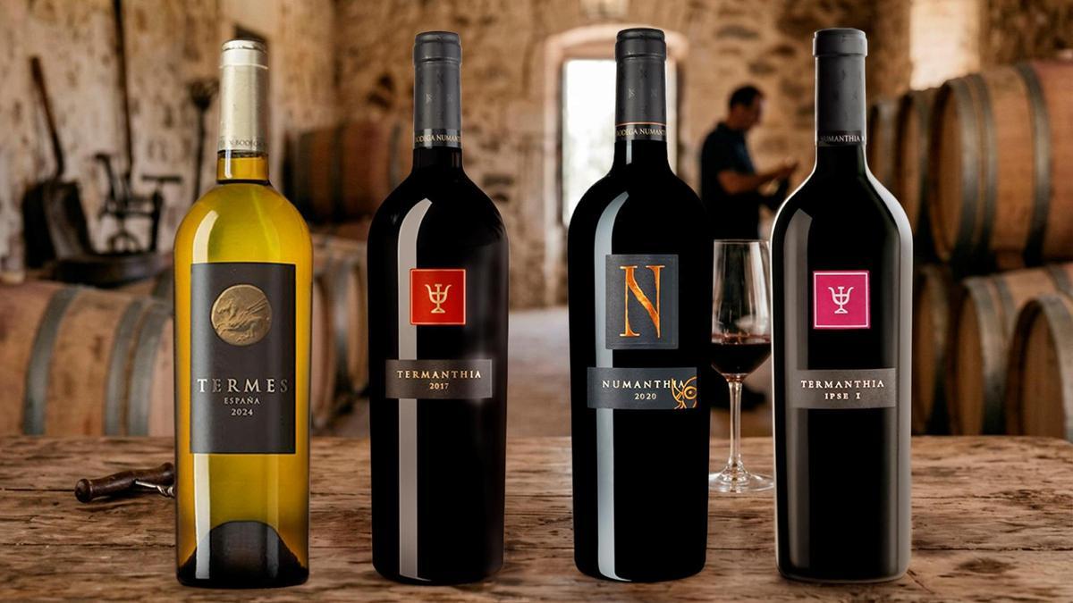 Bodegas Numanthia