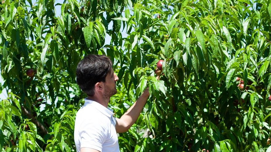 Anecoop avanza en su compromiso medioambiental