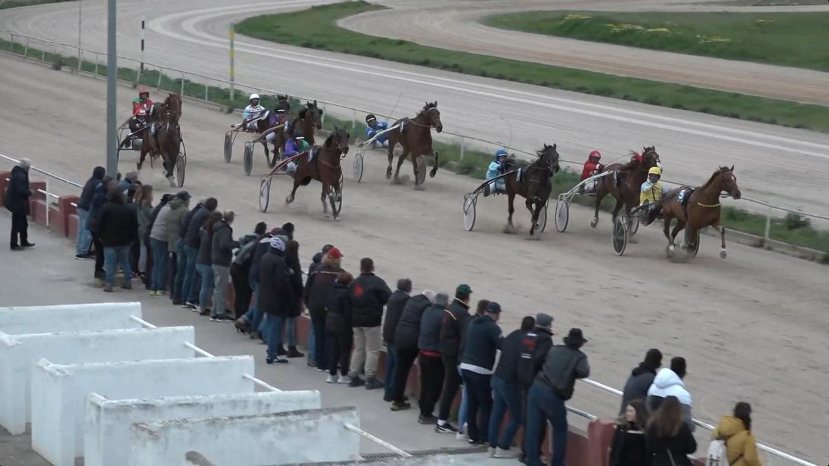 Alliance de Bouere se hizo con el triunfo en la quinta carrera