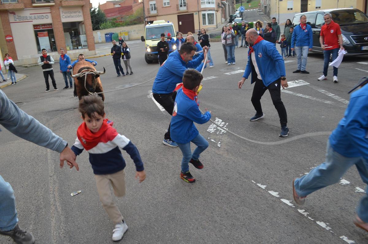 La XXI Carrera del Toro Enmaromado en La Veguilla, en imágenes