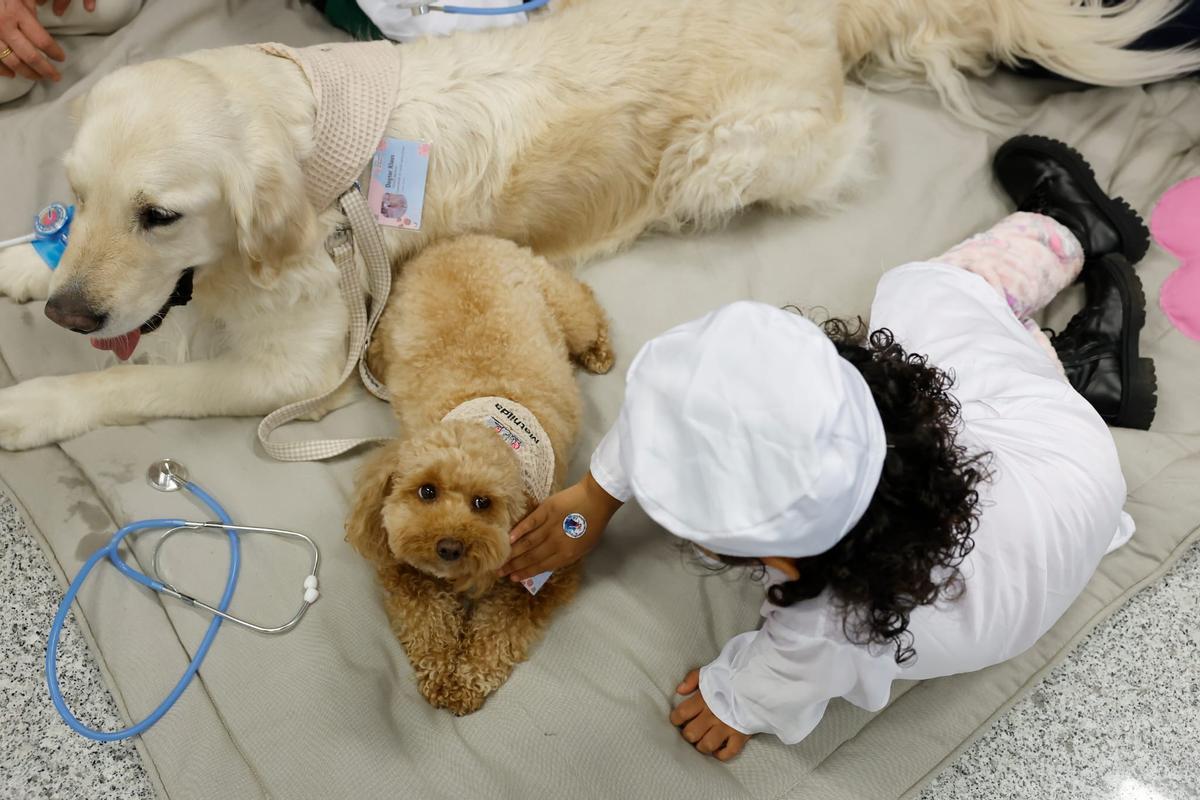 Dos perros con una niña, en una imagen de archivo.