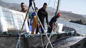 La UE autoritza 143 dies de captures al Mediterrani