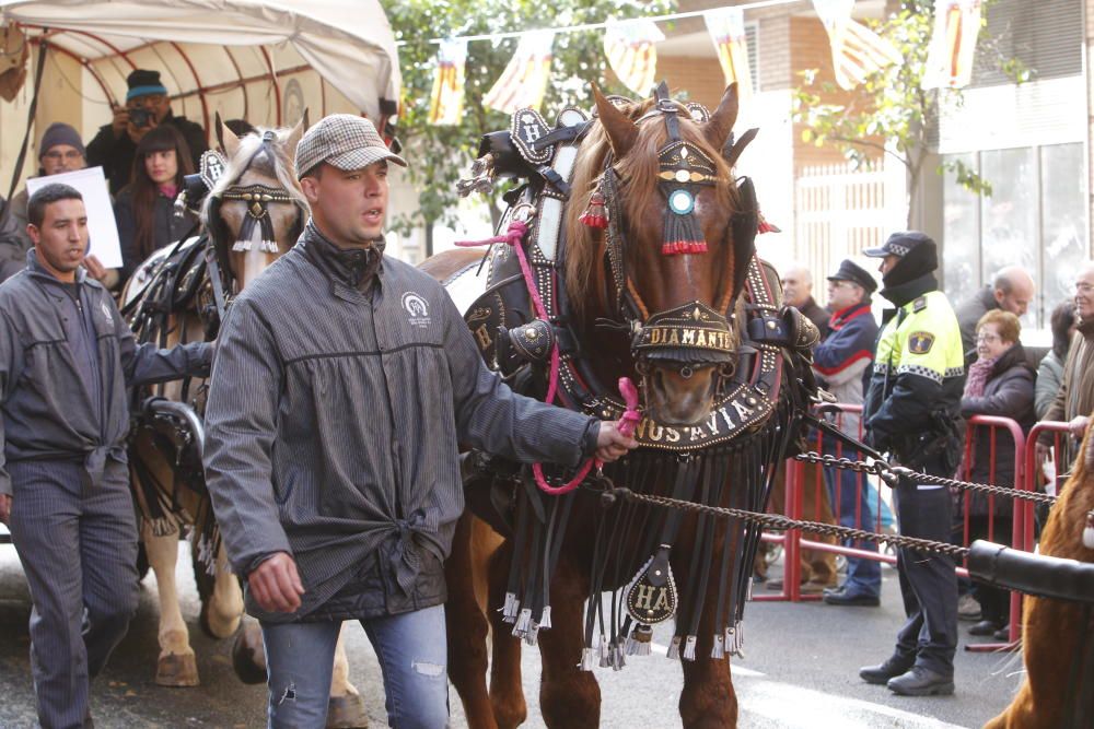 Sant Antoni en Valencia 2017