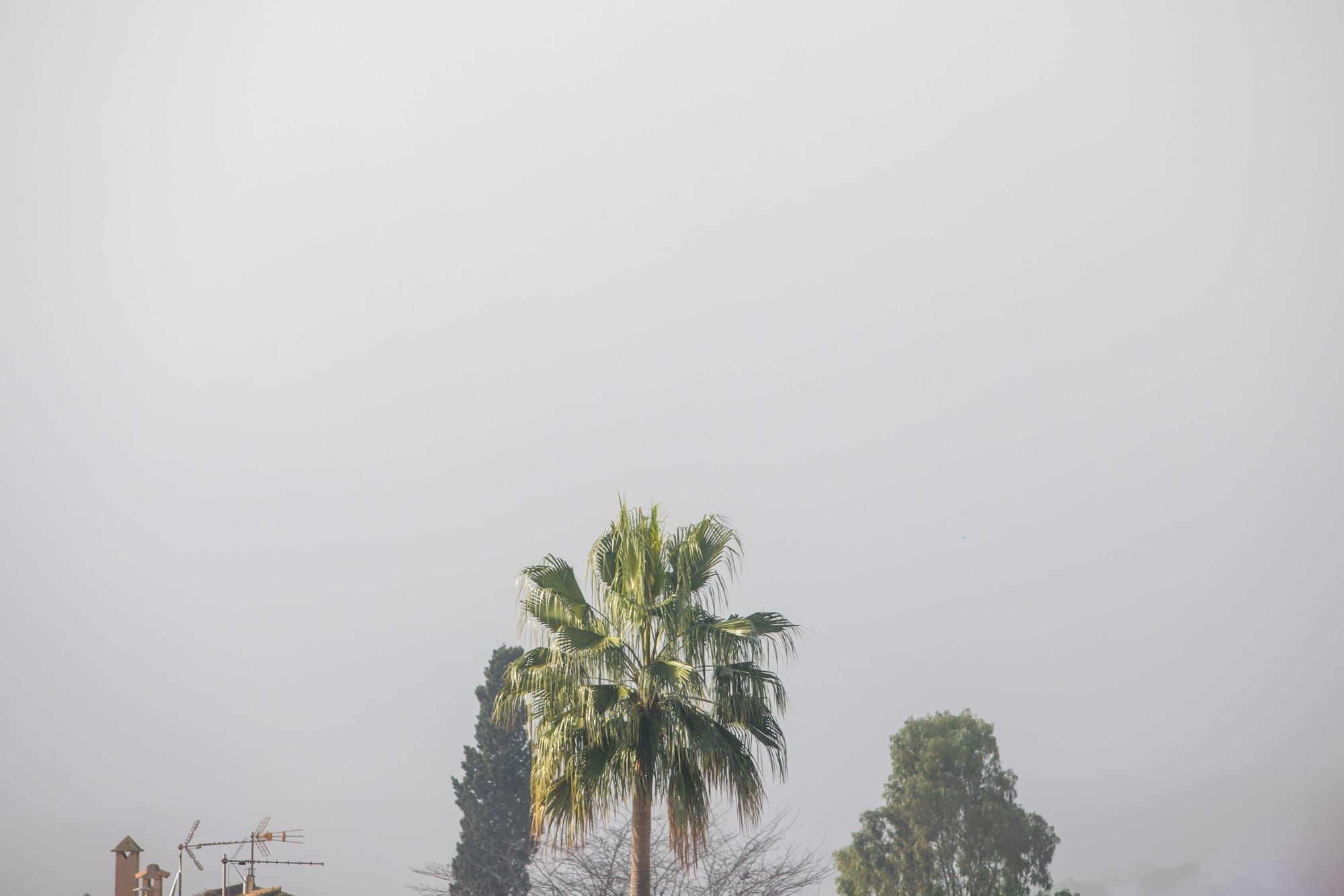 Niebla en Pòrtol