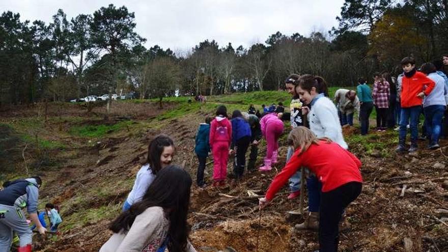 Escolares plantando árboles en Bemil. // FdV