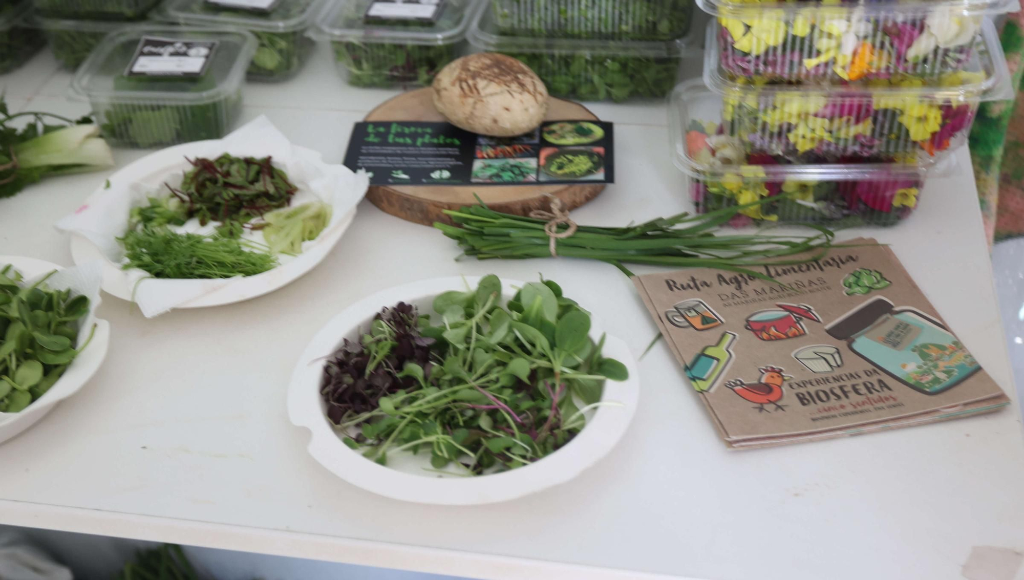 La Reserva da Biosfera Mariñas Coruñesas e Terras do Mandeo presenta en Paderne la feria Biocultura A Coruña 2025