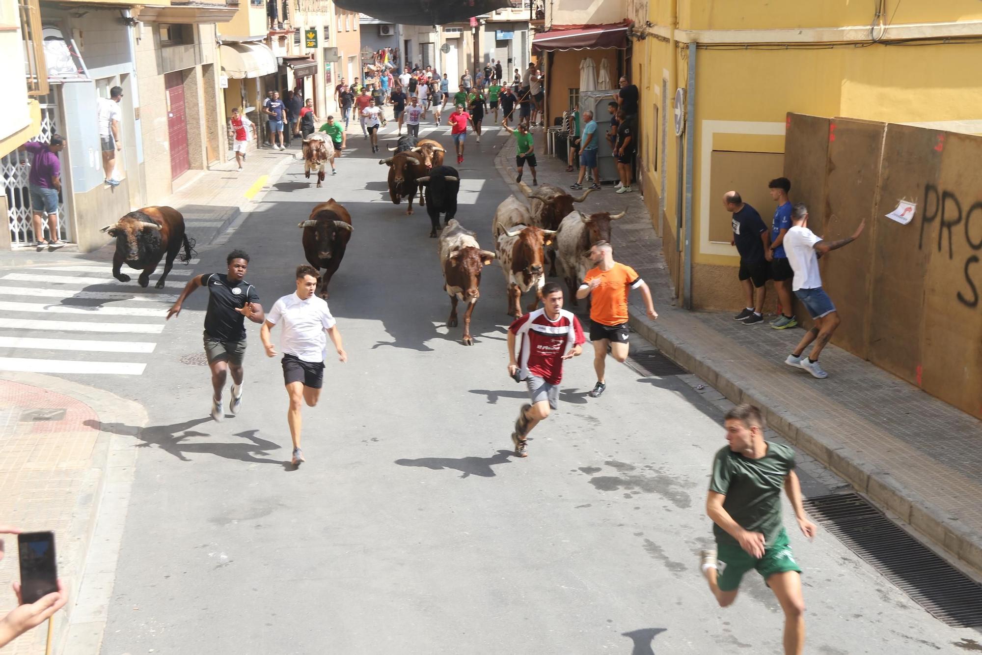 Primer encierro de las fiestas del Cristo de l'Alcora