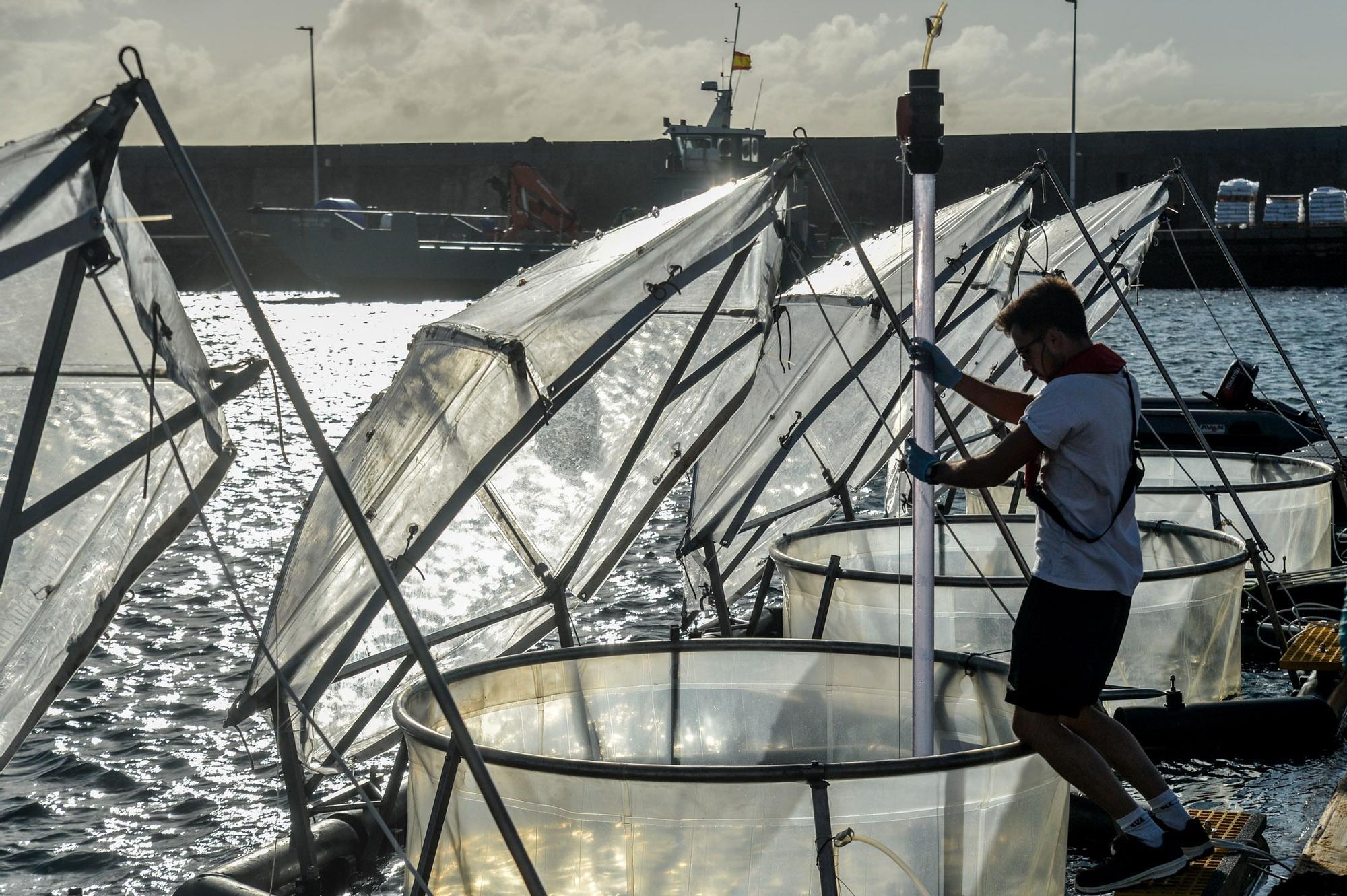 Experimento en el mar para averiguar como eliminar dióxido de carbono