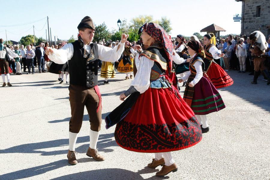 Día de la Provincia 2016 en Villardeciervos