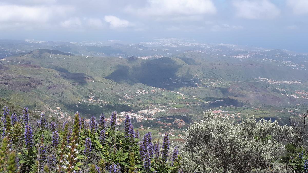 Estalla la primavera en Gran Canaria