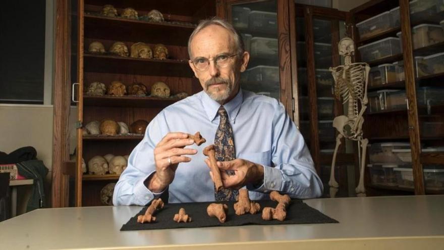 Lucy, ancestro de la humanidad, murió al caerse de un árbol