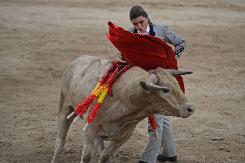 Toros en Alcúdia