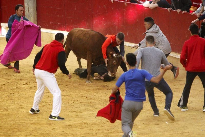 Vaquillas del 9 de octubre