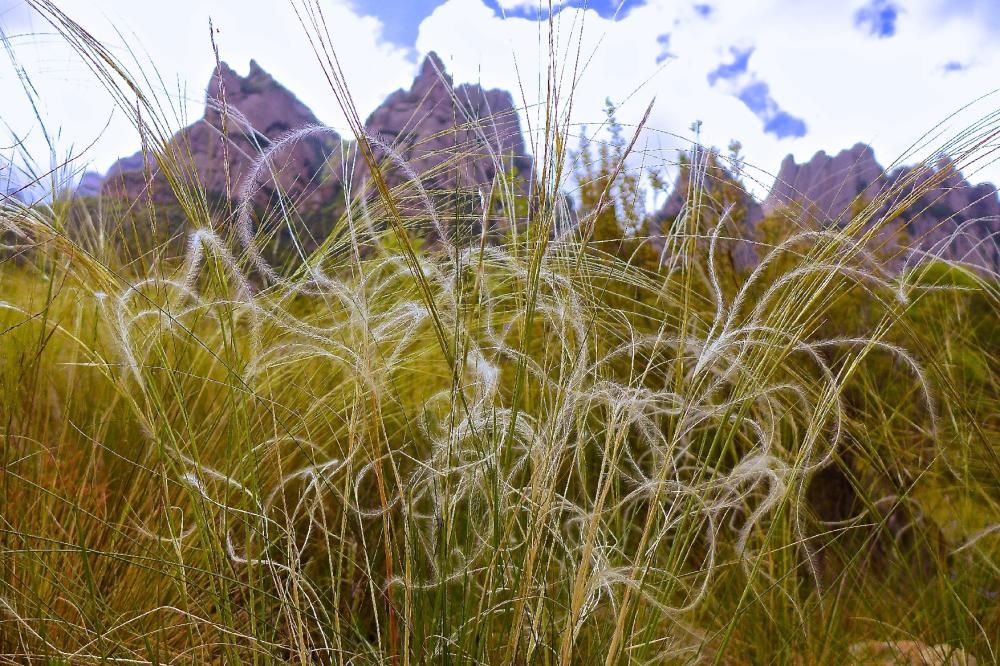 Concurs de fotografia del Parc de Montserrat