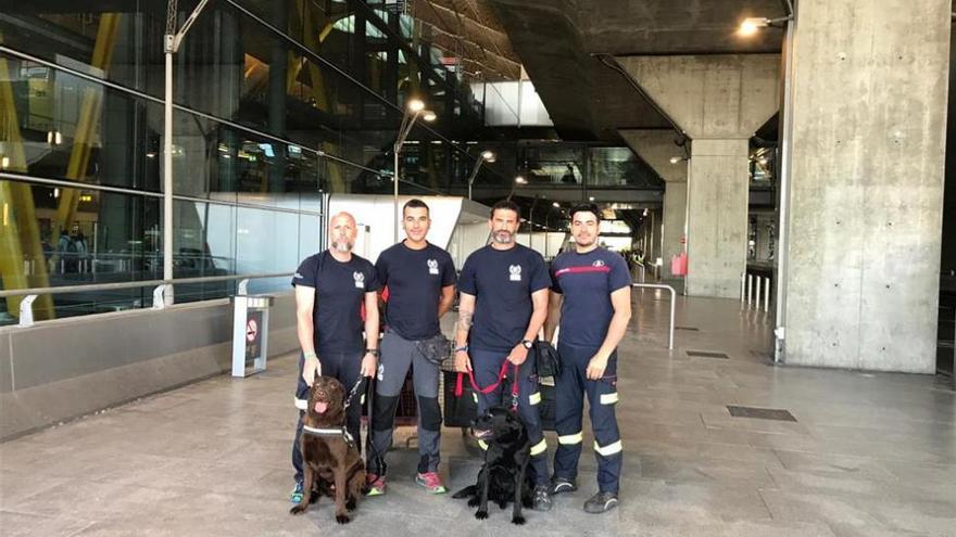 La Unidad Canina de Rescate de la Diputación lleva su experiencia a Guatemala