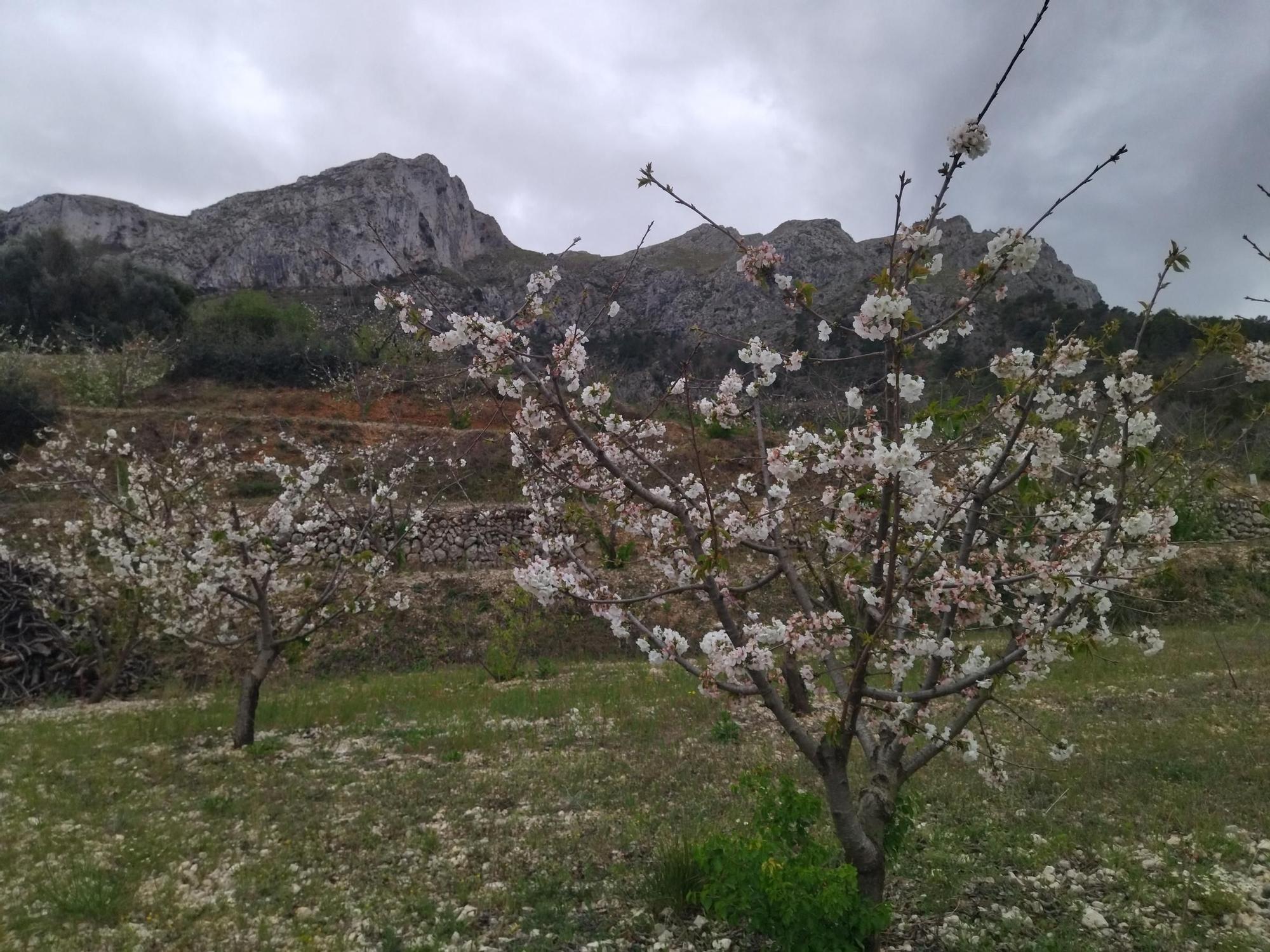 Llegar hasta el final: Benissili y Llombai, maravillas en la "ruta dels 8 pobles" de la Vall de Gallinera (imágenes)