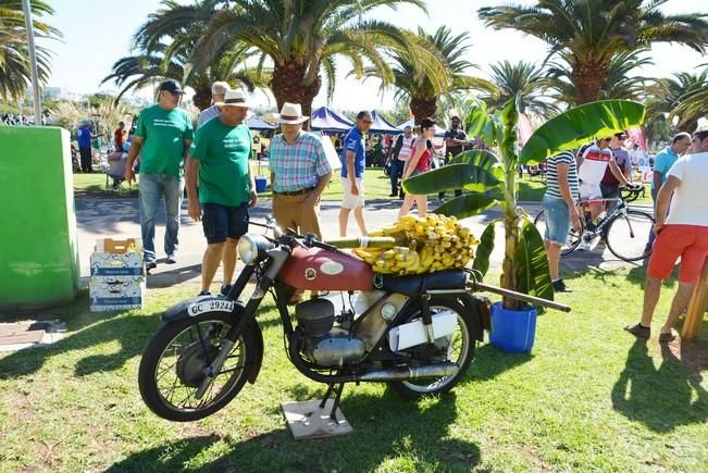 XXIV Concentración de Viejas Glorias del Motociclismo en Canarias