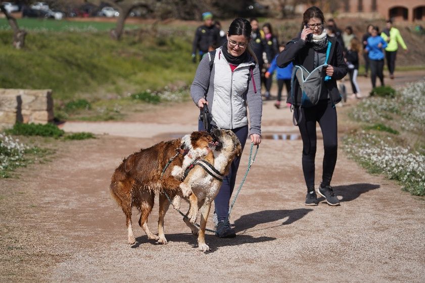 Transéquia 2024: Busca't a les fotos