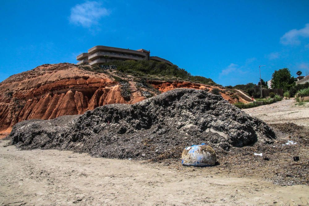 Deficiencias en Orihuela Costa