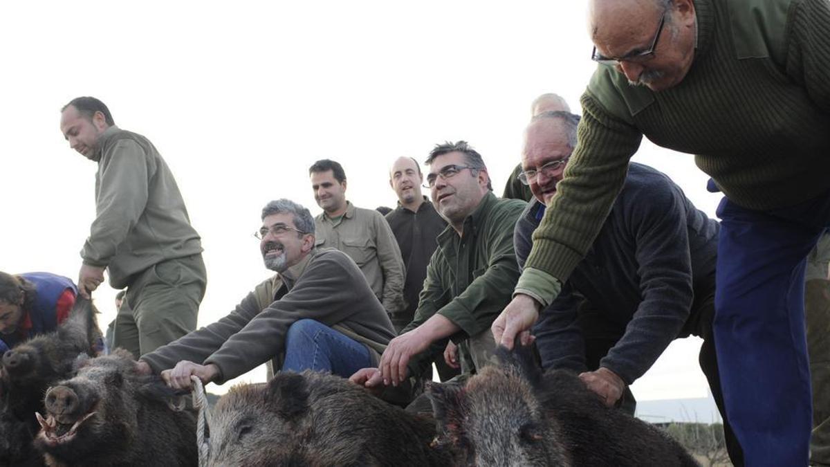 Unos cazadores de la Federación en una batida de jabalíes para luchar contra el aumento de ejemplares