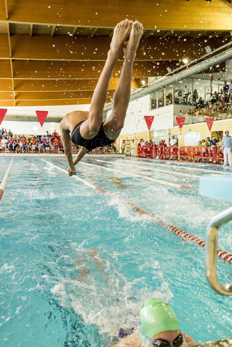 Más de 300 participantes y numeroso público asisten a la trigésimo primera edición del Trofeo Ciutat d'Eivissa de natación.