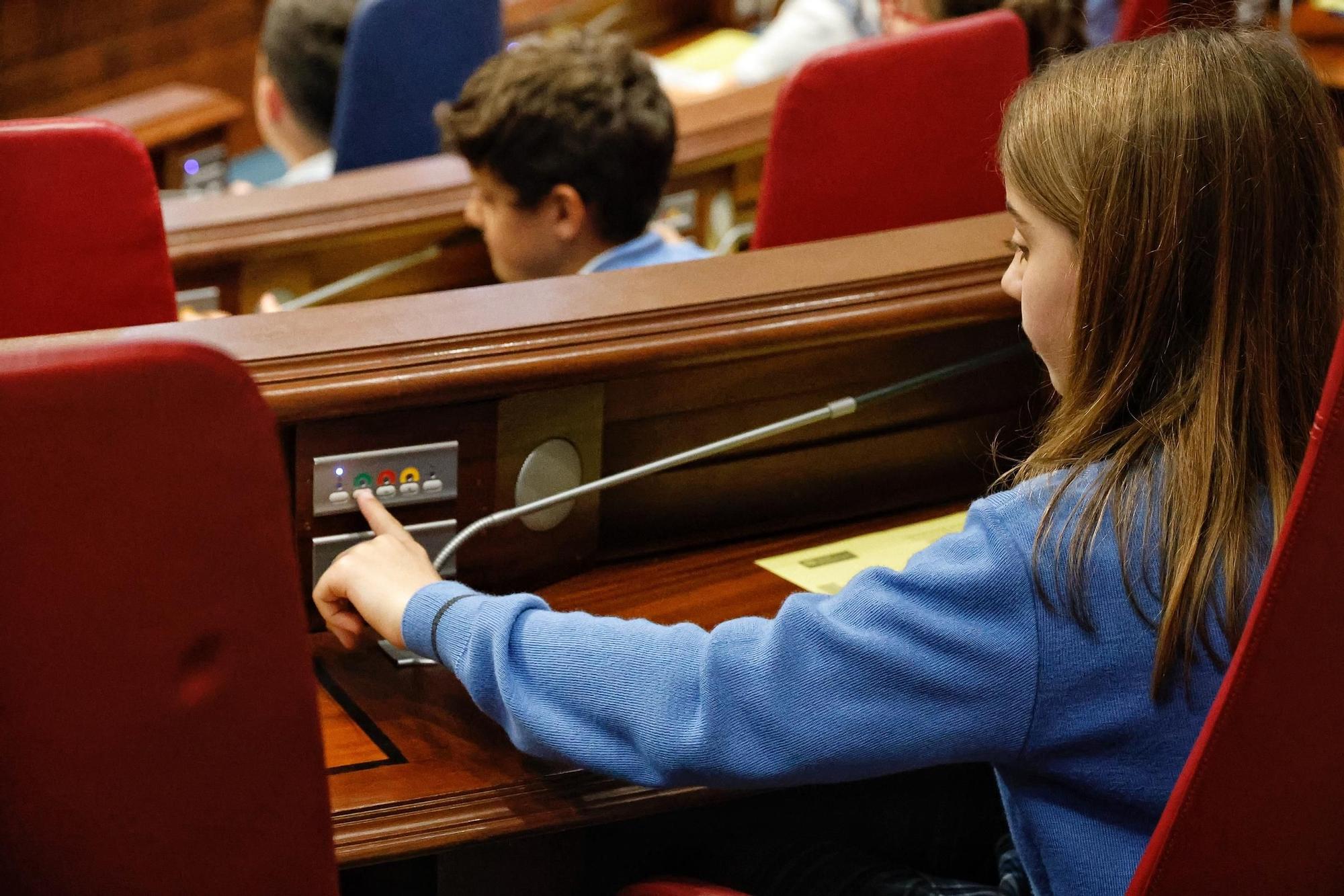 Escolares en el Parlamento de Canarias