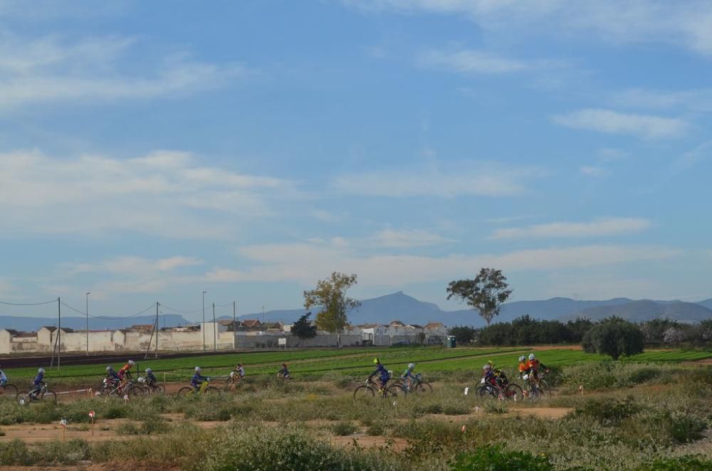 La Aljorra BMX