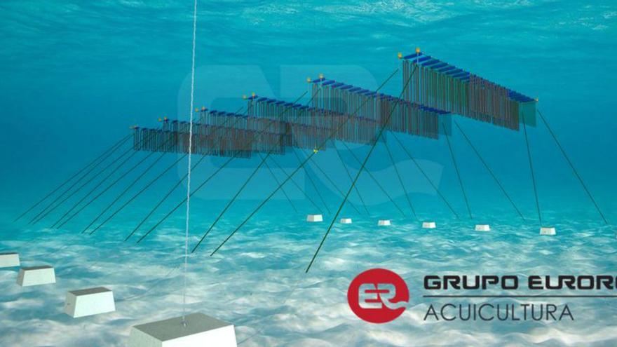 Grupo Eurored, líder en innovación  y sostenibilidad en la acuicultura offshore