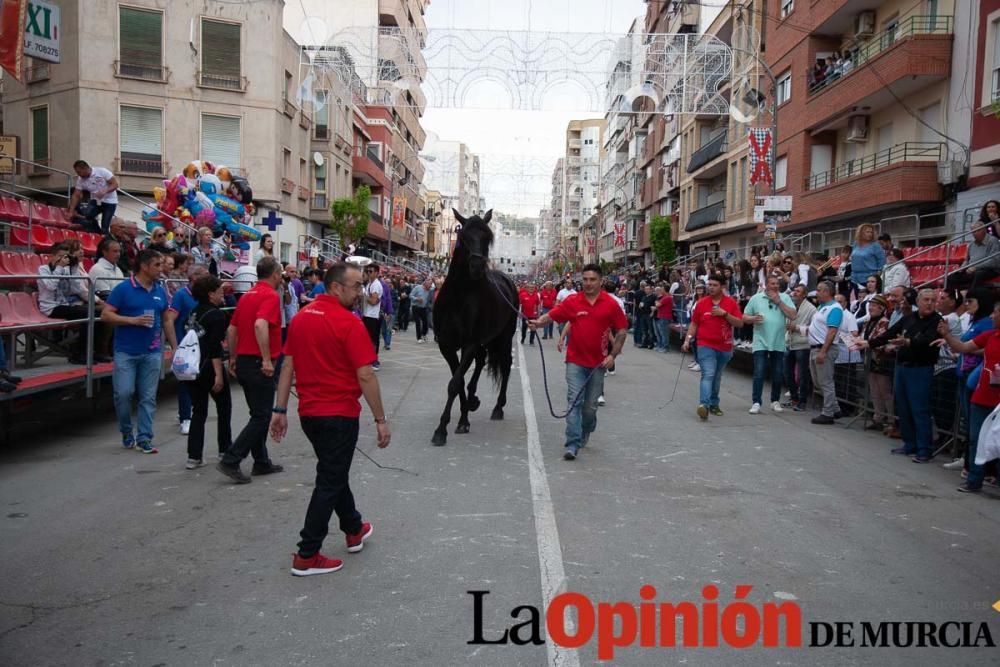 Caballos del Vino: Concurso morfológico (salida Pl