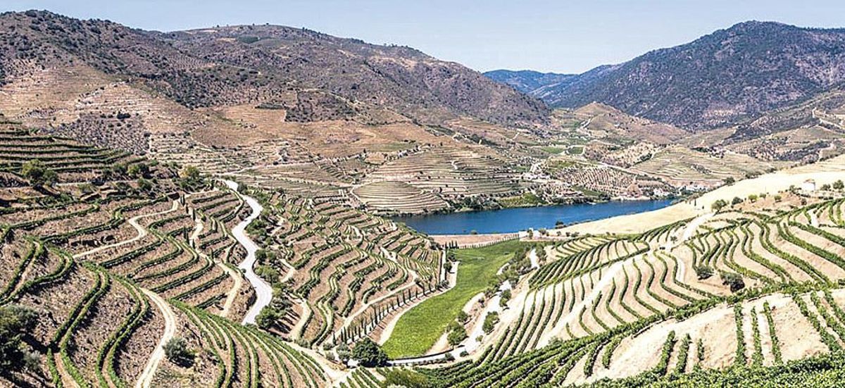 Del Douro al Rin: los paisajes del vino que ya son Patrimonio de la Unesco