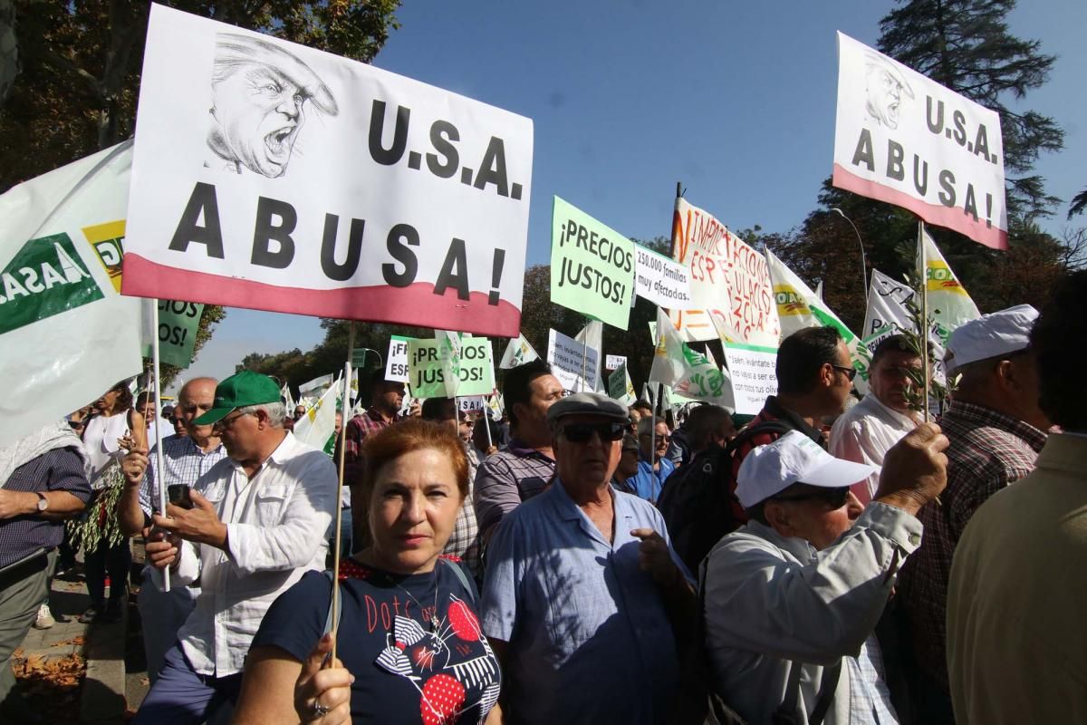 Córdoba se suma a la gran manifestación del olivar en Madrid