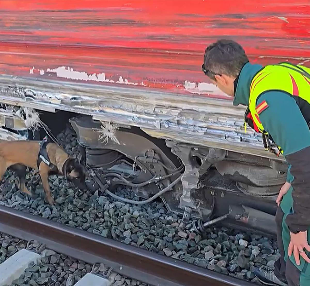 Un agent rastreja amb un gos l’exterior d’un dels vagons, dimarts passat. | GUÀRDIA CIVIL