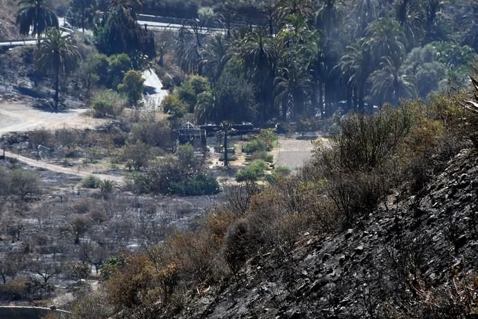 18/03/2019 FATAGA. SAN BARTOLOME DE TIRAJANA.  Incendio en Fataga, en la Finca Rural, Molino de Agua. Fotografa: YAIZA SOCORRO.  | 18/03/2019 | Fotógrafo: Yaiza Socorro