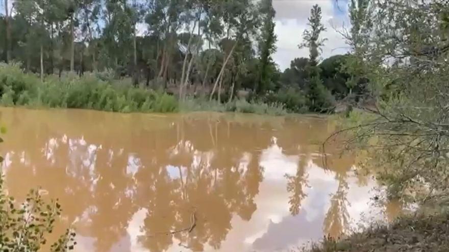 VÍDEO | La Laguna del Pego se vuelve a llenar de agua